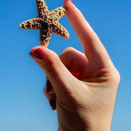 La Stella. Ideale Nella Casa Sul Mare. Апартаменты Сан-Бенедетто-дель-Тронто